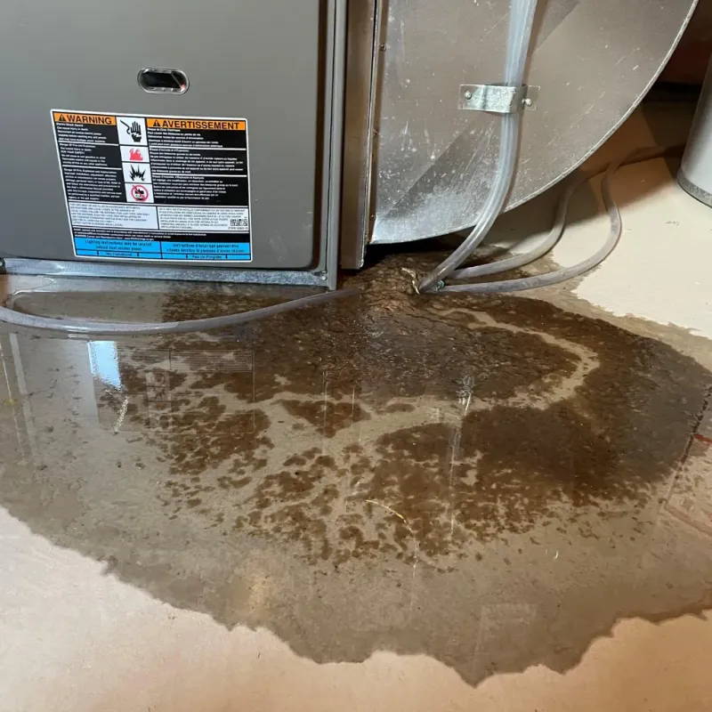Appliance Leak Cleanup in Santa Clara, NM