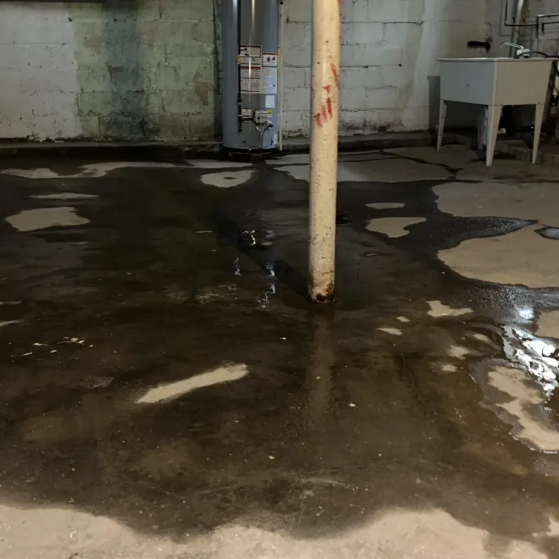 Emergency Water Extraction And Removal in Santa Clara, NM